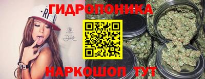 хмурый Жуковский