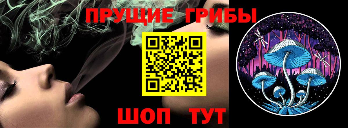 Псилоцибиновые грибы Cubensis Лабытнанги