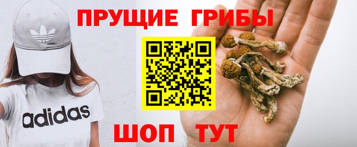 сколько стоит  Вход с VPN  Лабытнанги  Псилоцибиновые грибы мицелий 